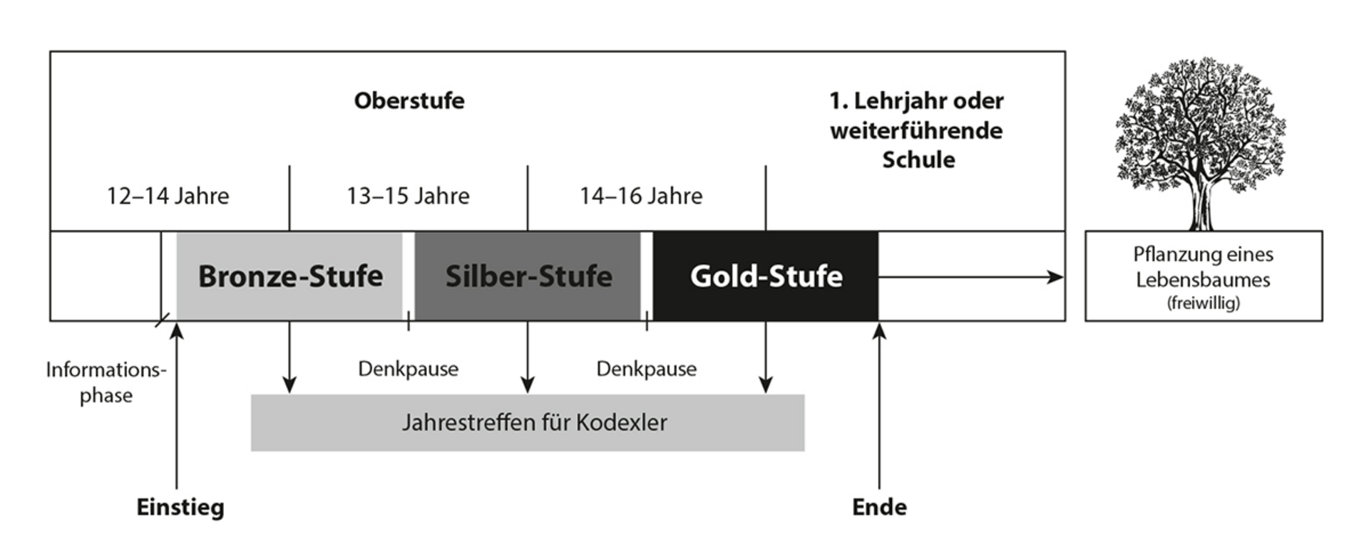 Kodex-Programm